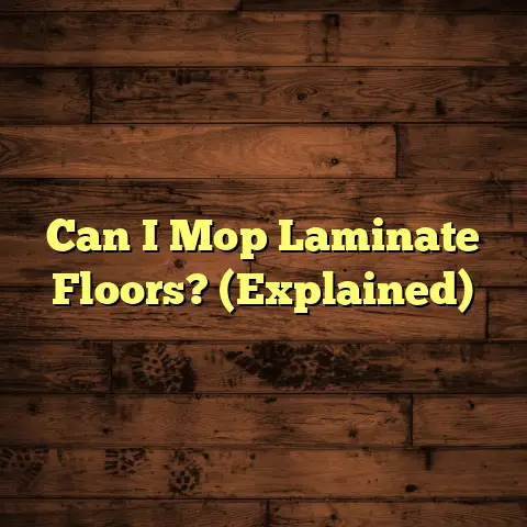 Can I Mop Laminate Floors? (Explained)