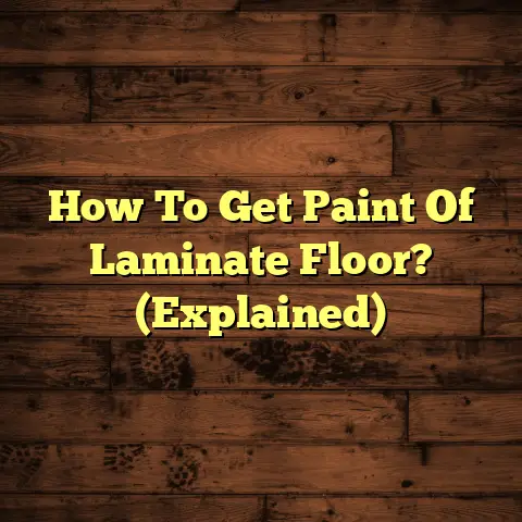 How To Get Paint Of Laminate Floor? (Explained)