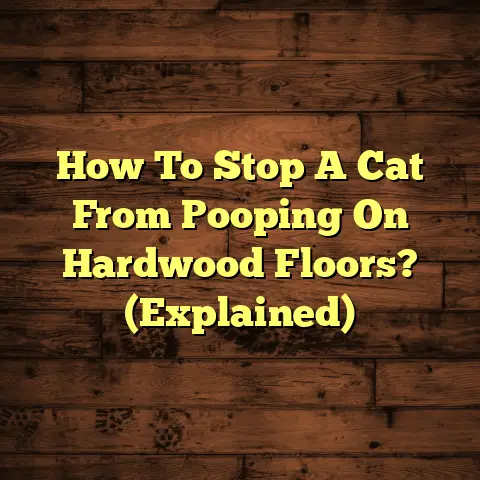 How To Stop A Cat From Pooping On Hardwood Floors? (Explained)