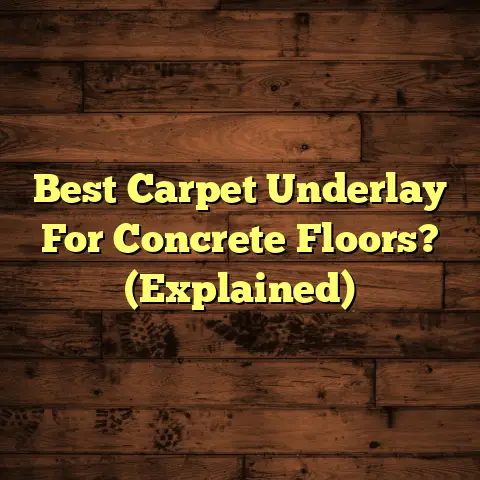 Best Carpet Underlay For Concrete Floors? (Explained)