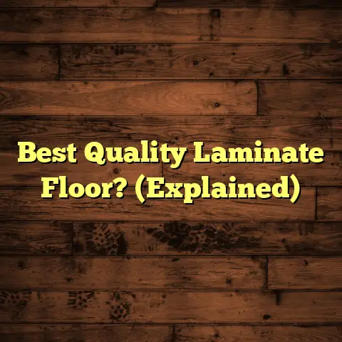 Best Quality Laminate Floor? (Explained)