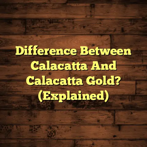 Difference Between Calacatta And Calacatta Gold? (Explained)