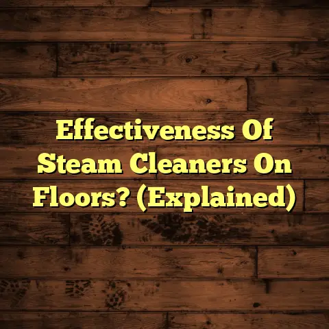 Effectiveness Of Steam Cleaners On Floors? (Explained)