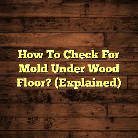 How To Check For Mold Under Wood Floor? (Explained)