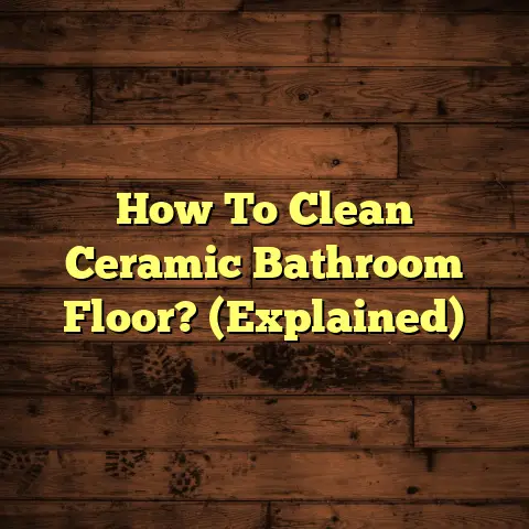 How To Clean Ceramic Bathroom Floor? (Explained)