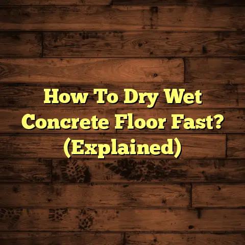 How To Dry Wet Concrete Floor Fast? (Explained)