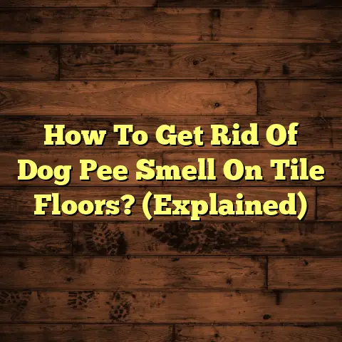 How To Get Rid Of Dog Pee Smell On Tile Floors? (Explained)