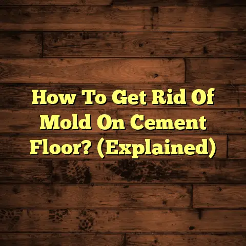 How To Get Rid Of Mold On Cement Floor? (Explained)