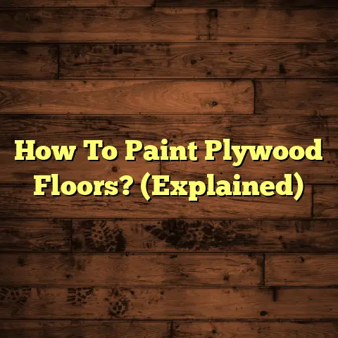 How To Paint Plywood Floors? (Explained)