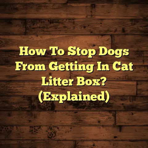 How To Stop Dogs From Getting In Cat Litter Box? (Explained)