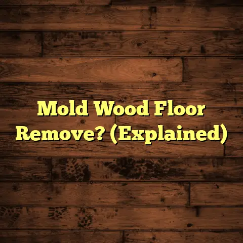 Mold Wood Floor Remove? (Explained)