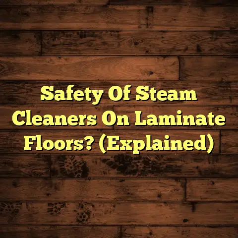 Safety Of Steam Cleaners On Laminate Floors? (Explained)