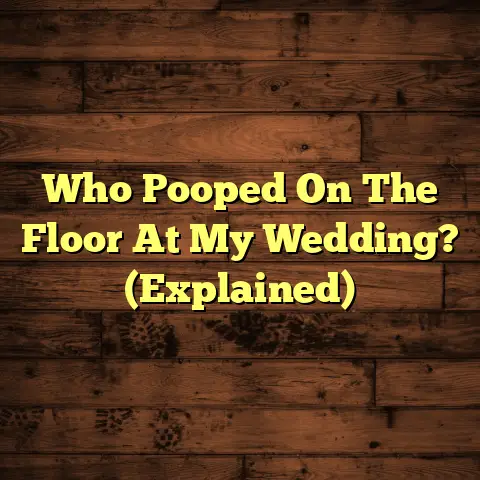 Who Pooped On The Floor At My Wedding? (Explained)