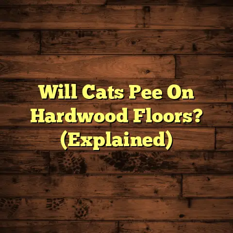 Will Cats Pee On Hardwood Floors? (Explained)