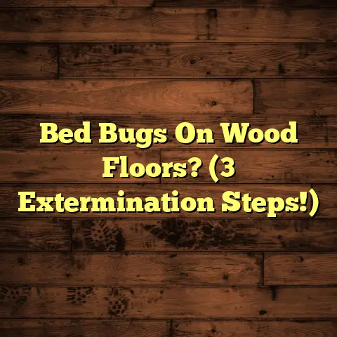 Bed Bugs On Wood Floors? (3 Extermination Steps!)