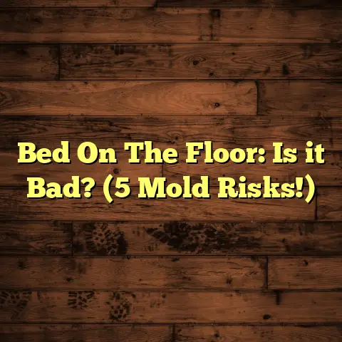 Bed On The Floor: Is it Bad? (5 Mold Risks!)