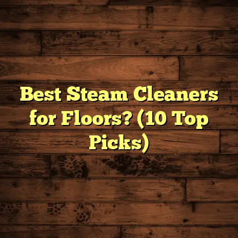 Best Steam Cleaners for Floors? (10 Top Picks)