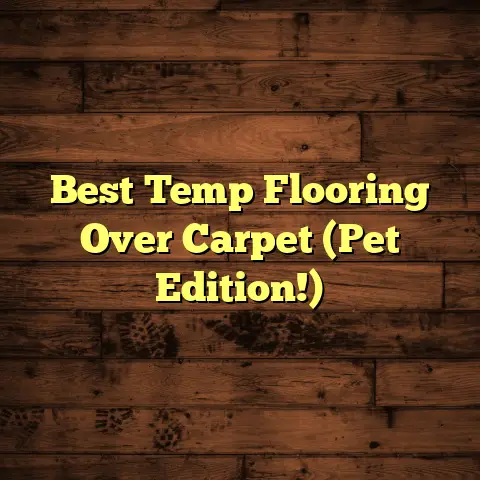 Best Temp Flooring Over Carpet (Pet Edition!)