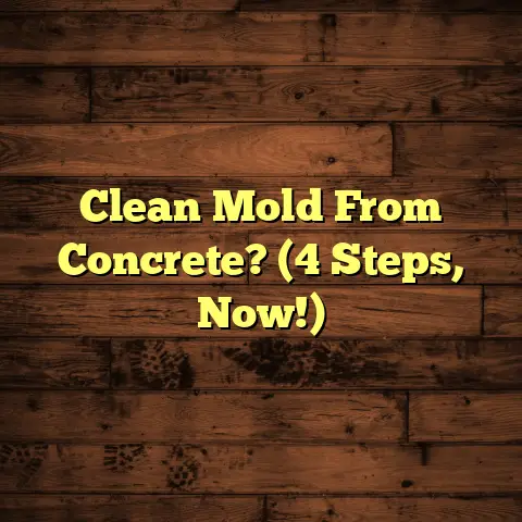 Clean Mold From Concrete? (4 Steps, Now!)