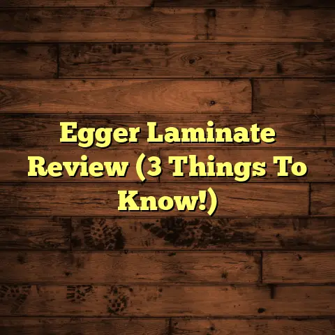 Egger Laminate Review (3 Things To Know!)