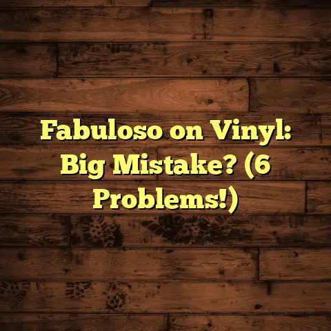 Fabuloso on Vinyl: Big Mistake? (6 Problems!)