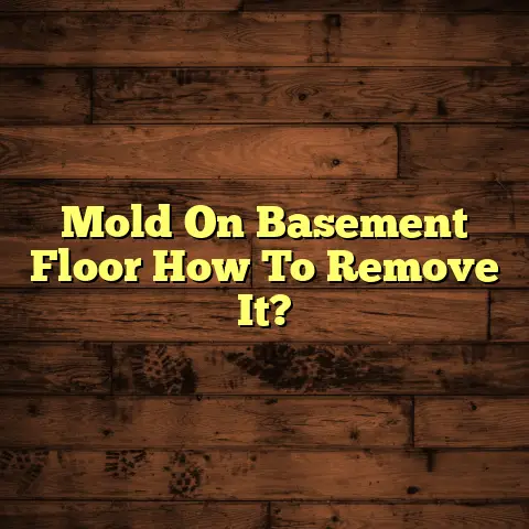 Mold On Basement Floor How To Remove It?
