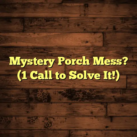 Mystery Porch Mess? (1 Call to Solve It!)