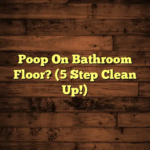 Poop On Bathroom Floor? (5 Step Clean Up!)