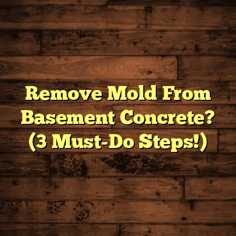 Remove Mold From Basement Concrete? (3 Must-Do Steps!)