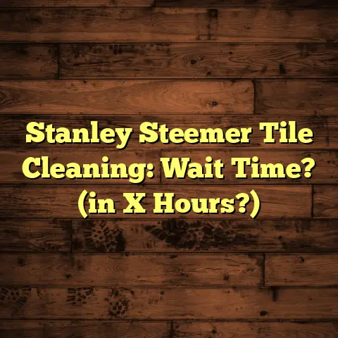 Stanley Steemer Tile Cleaning: Wait Time? (in X Hours?)