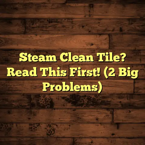 Steam Clean Tile? Read This First! (2 Big Problems)