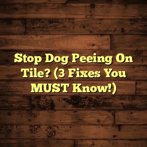 Stop Dog Peeing On Tile? (3 Fixes You MUST Know!)