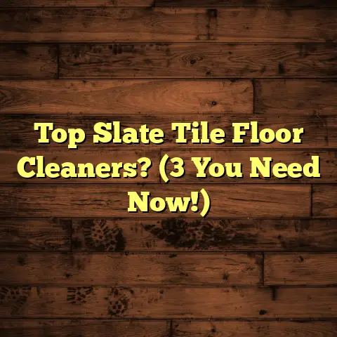 Top Slate Tile Floor Cleaners? (3 You Need Now!)