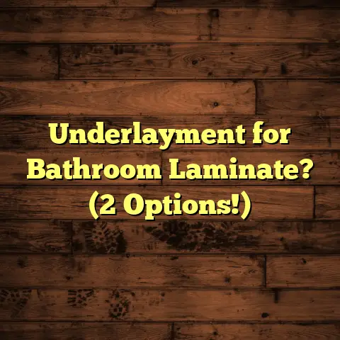 Underlayment for Bathroom Laminate? (2 Options!)
