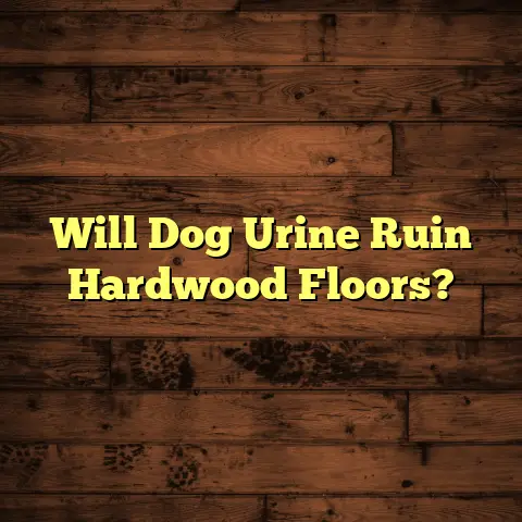 Will Dog Urine Ruin Hardwood Floors?