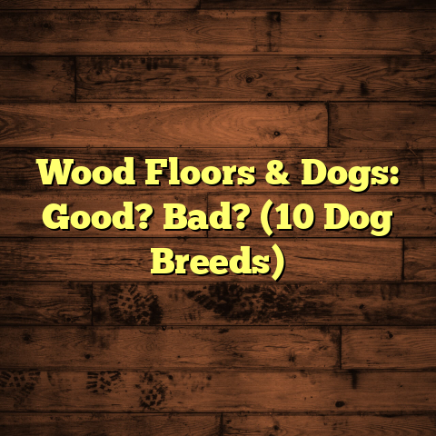 Wood Floors & Dogs: Good? Bad? (10 Dog Breeds)