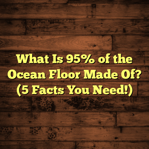 What Is 95% of the Ocean Floor Made Of? (5 Facts You Need!)