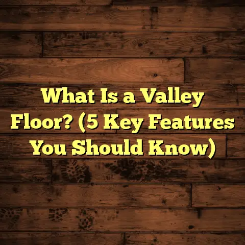What Is a Valley Floor? (5 Key Features You Should Know)