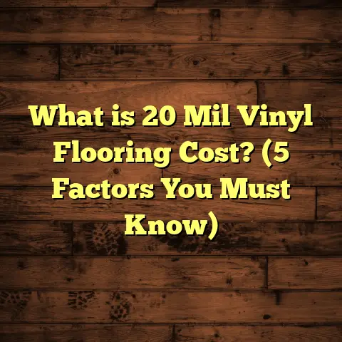 What is 20 Mil Vinyl Flooring Cost? (5 Factors You Must Know)