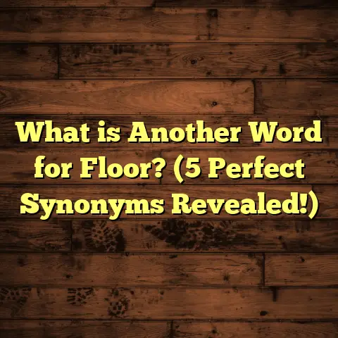 What is Another Word for Floor? (5 Perfect Synonyms Revealed!)