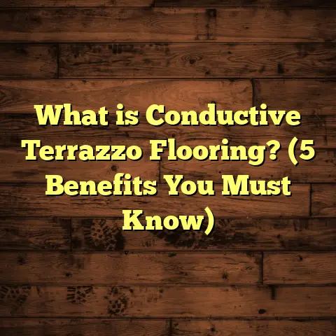 What is Conductive Terrazzo Flooring? (5 Benefits You Must Know)