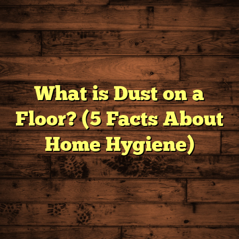 What is Dust on a Floor? (5 Facts About Home Hygiene)