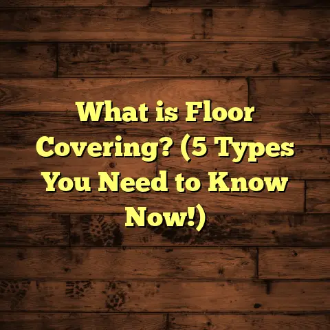 What is Floor Covering? (5 Types You Need to Know Now!)
