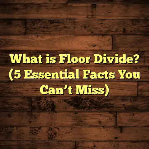What is Floor Divide? (5 Essential Facts You Can’t Miss)
