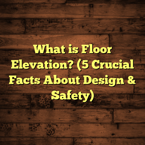 What is Floor Elevation? (5 Crucial Facts About Design & Safety)