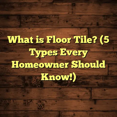 What is Floor Tile? (5 Types Every Homeowner Should Know!)