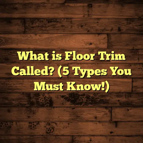 What is Floor Trim Called? (5 Types You Must Know!)