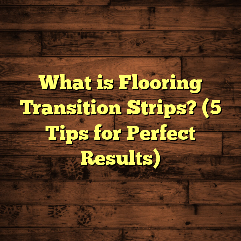 What is Flooring Transition Strips? (5 Tips for Perfect Results)