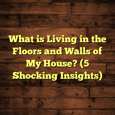 What is Living in the Floors and Walls of My House? (5 Shocking Insights)