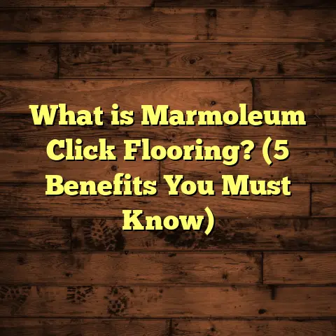 What is Marmoleum Click Flooring? (5 Benefits You Must Know)